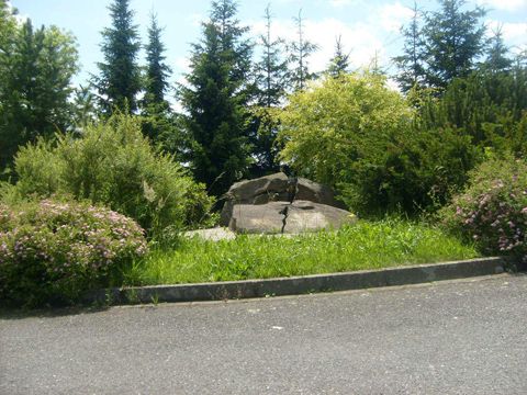Foto 100